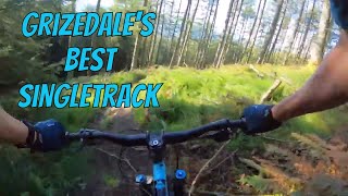 Grizedale's Best Singletrack, Lake District, UK - MTB