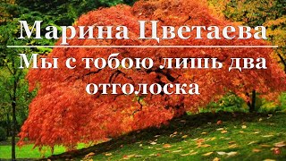 Марина Цветаева - Мы с тобой лишь два отголоска