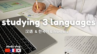 How to study three languages at the same time? | Mandarin, Korean and French | +tips