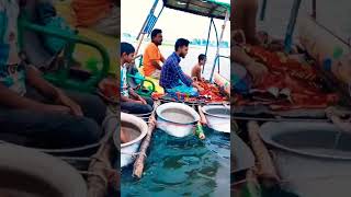 বন্যার সময় special জলযান #fishing #shorts #viralvideo #news #flooding #boat #boating #ytshorts