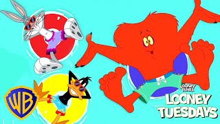 Looney Tunes auf Deutsch 🇩🇪  | Schwimmunterricht 🏊‍♂️ | @WBKidsDeutschland