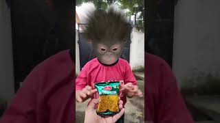 Paru Paru mayavanthinai monkey baby funny dance 🐵🍫🍬🍼🍌🤣😅😂🕺#monkey #funny #bandar #dance #aaryavnaagar