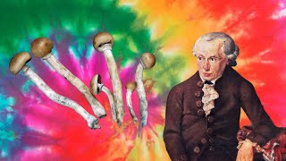 Kant's Critique of Pure Reason, Psychedelics, & the Ultimate Reality