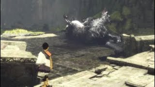 The Last Guardian - Trico Playing