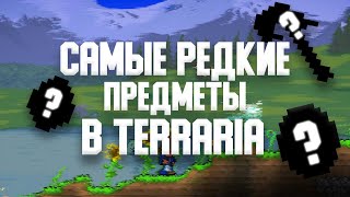 САМЫЕ РЕДКИЕ ПРЕДМЕТЫ В ТЕРРАРИИ