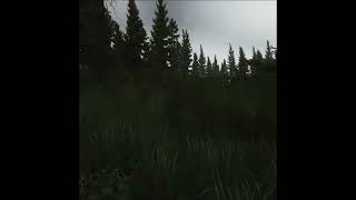 Подкаменщик в Escape from Tarkov