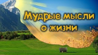 💎Мудрые мысли о жизни 💎