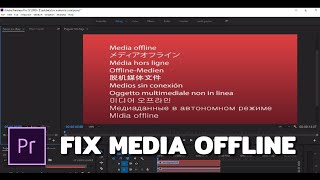 How To Fix  Media Offline Error In Premiere pro tutorial