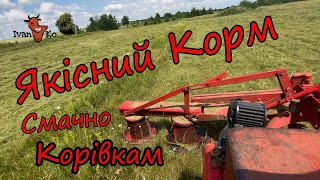 Заготівля сіна. Гаряча пора. Багато роботи.