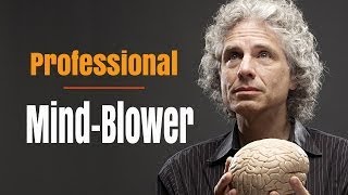 8 Times Steven Pinker Was a Professional Mind Blower - The Best Documentary Ever