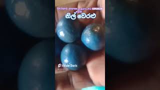 #රුද්‍රාක්ෂ #rudraksha #rudrakshabeads #Blueshores # නවගුණමාලය #Navaguna  #ருத்ராட்சம்  #ப்ளூபீச்