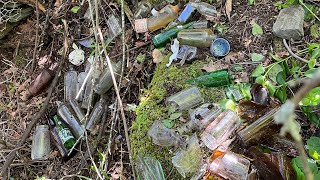 Finding Old Bottles In The Woods | Dump Digging.