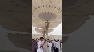 Raining in Masjid-e-Nabawi Madinah Mashaallah #shorts #shortsfeed