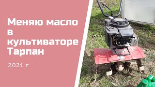 Меняю масло в культиваторе Тарпан 2021 г