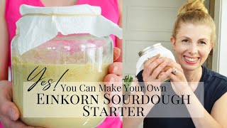 MAKE EINKORN SOURDOUGH STARTER FROM SCRATCH | Transition a Sourdough Starter to Einkorn