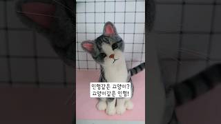 고양이 같지만 인형이랍니다. #양모펠트 #니들펠트 #고양이 #짜아앙공작소 #needlefelt #shorts