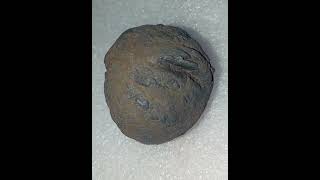 Meteorite Rare Collections,,,