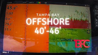 Offshore Tampa Bay 40-46' of water!