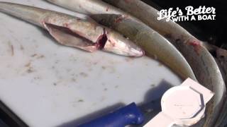 How to Fillet Whiting