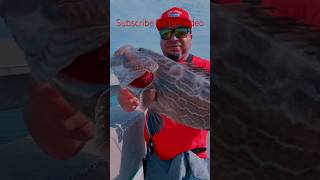 Florida keys fishing. #reels #shorts #shortvideo #subscribe #viral #trending