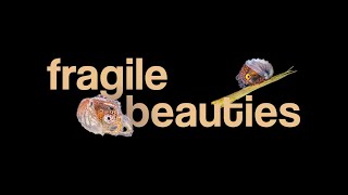 BENEVENTO Rights Magazine - Spring 2020: Episode 10 (Fragile beauties)