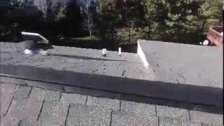 Chantilly Roof Inspection | Roof Repair | Roofer911.com