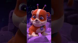 PAW Patrol | Ruben et son double ? #Shorts