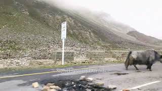 Babusar Top to Chilas Road Drive | Part-01