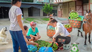 Full video: Harvesting Many Guava Fruit And Banana Go To Market Sell - A Strong Horse