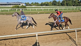 Lunar Lightning (outside) and Missy's Map (rail) breeze their first 5/8ths on 9/9.