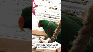 Transform Your Parrot's Life with Rope Perches - Online Store Exclusive | #birdcare  #ParrotPerches