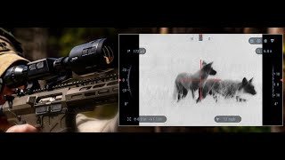 ATN Ambassador Compilation | ThOR 4 Thermal Hunting Video 2019