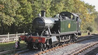 Collett Small Prairie 5542 on the South Devon Railway - October 2018