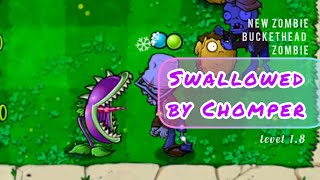 Swallowed by Chomper | New Zombie Buckethead Zombie | Plant vs. Zombie | Level 1.8