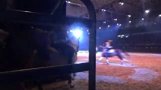 Hinter den Kulissen einer Pferdeshow - Die Hop Top Show aus unserer Perspektive - Ponyshowteam