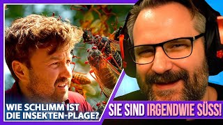 Das Zikadenevent des Jahrhunderts - Gronkh Reaction