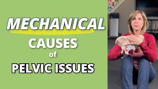 Is Sensitive Pelvic Floor Due to BIOMECHANICAL Causes? #pelvicpain #pelvicfloorexercises #mobility