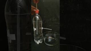 easy science experiment | #experiments #shorts #youtubeshort