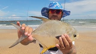 It's been a while & No it's NOT a Pompano 🐠🤯 #Fishing #Permit #SurfFishing #Pompano #Fish #subscribe