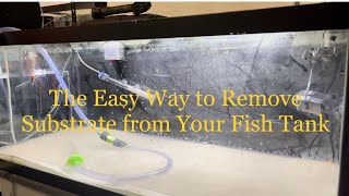 The EASY Way to Remove Substrate from your Fish Tank