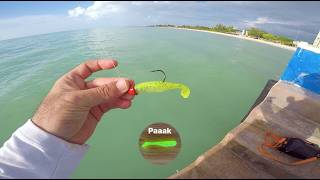 Pesca rapida en muelle de Celestun, Yucatan