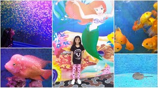 Sea World carnival in Chandigarh ll Fish Tunnel first time in India