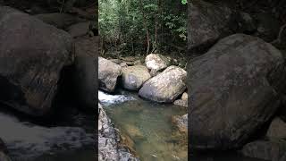 Beautiful hidden waterfall.Nature lovers. family tours. How to travel with family.#shorts #travel