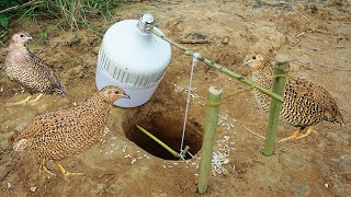 The First DIY Bird Trap Technology Using Electric Lamp With Bamboo - How To Make Creative