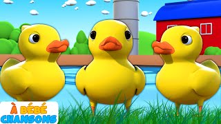 Cinq Petits Canards 🐥 | Chansons Pour Bébés | À Bébé Chansons