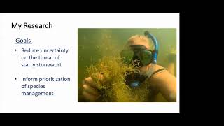 Webinar: Starry stonewort invasion in Minnesota lakes