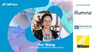 Pei Wang answers: How can we improve quality of life for cancer patients?