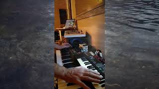 First Glimpse of Warmth - Ambient live synth session with Korg Poly-800, Casio SK-1 and Roland SH-32