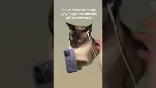 Powiedźcie że nie tylko ja 😭 #cat #catshorts #foryou #viral #shorts