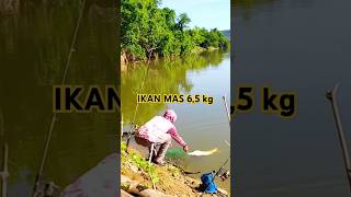 Rejeki mancing di depan mata#Shorts